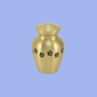 Classic Paw Brass Cremation Urn | Petite Size For Dog or Cat | Holds up to a 25 # Pet