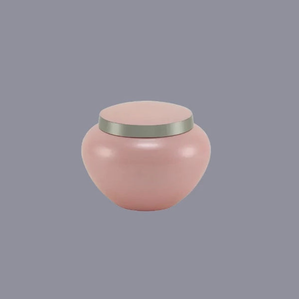 Odyssey Pink Cremation Urn | Extra Small Size For Dog or Cat | Holds up to a 10# Pet