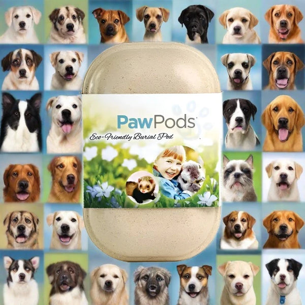 Pet Biodegradable Casket " Pet Pods" | Small Size For Dog or Cat | For Guinea Pigs, Ferrets, Rabbits